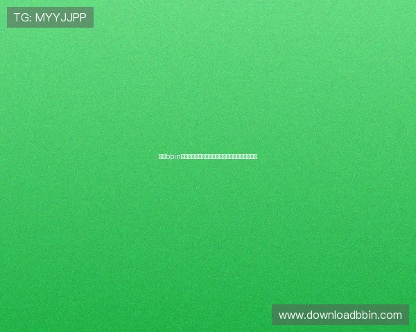 手机bbin官网安全保障措施，保障玩家资金与个人信息安全