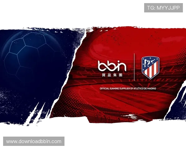 bbin官方合作成功案例分享启发你实现业务快速增长