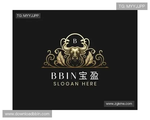 bbin宝盈集团的信誉如何，安全性和资金保障详细解读