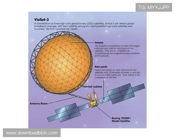 波音体育会员注册流程优化，提升注册效率的实用技巧分享